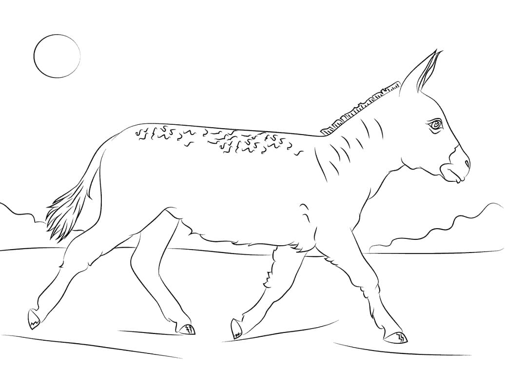 Desenho de Burro Andando para colorir