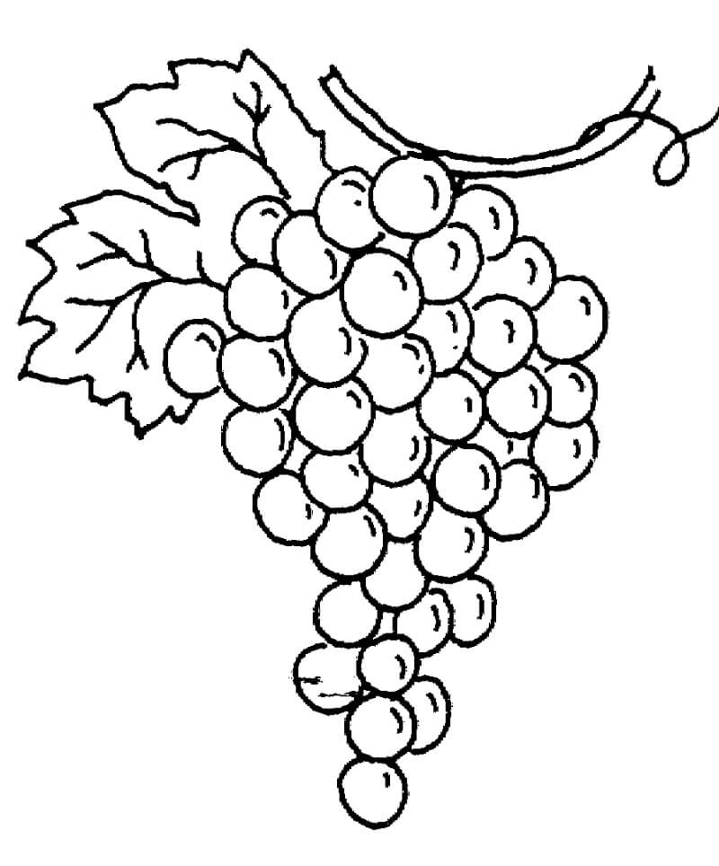 Desenho deCacho de Uvas 1 para colorir