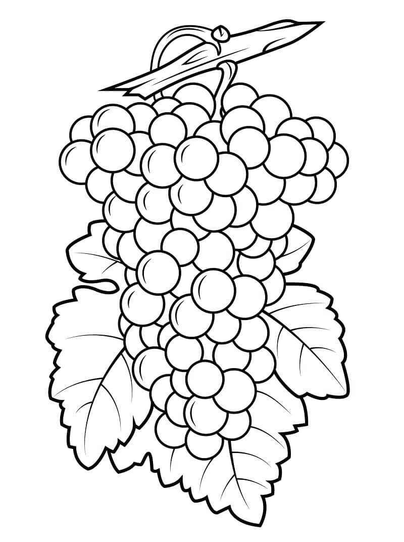 Desenho deCacho de Uvas 10 para colorir