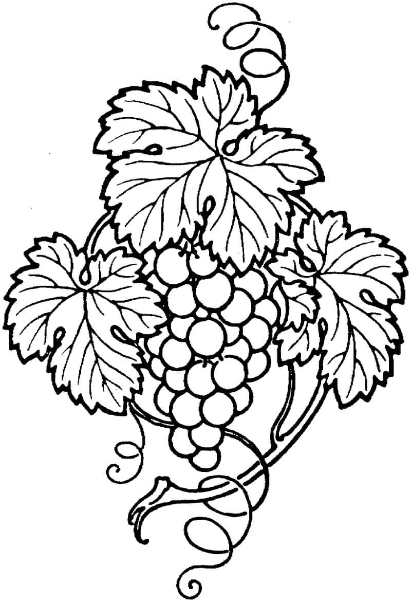 Desenho deCacho de Uvas 11 para colorir