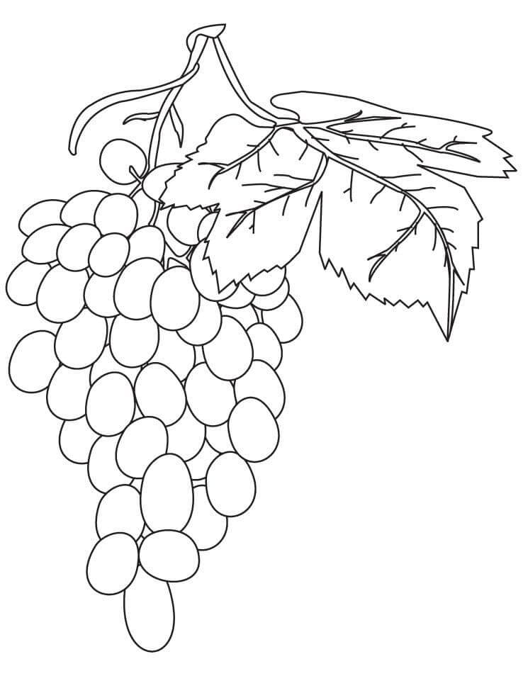 Desenho deCacho de Uvas 12 para colorir