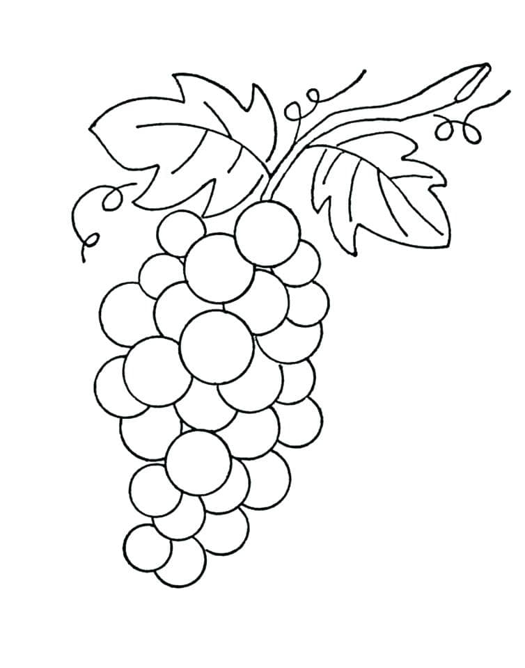 Desenho deCacho de Uvas 15 para colorir