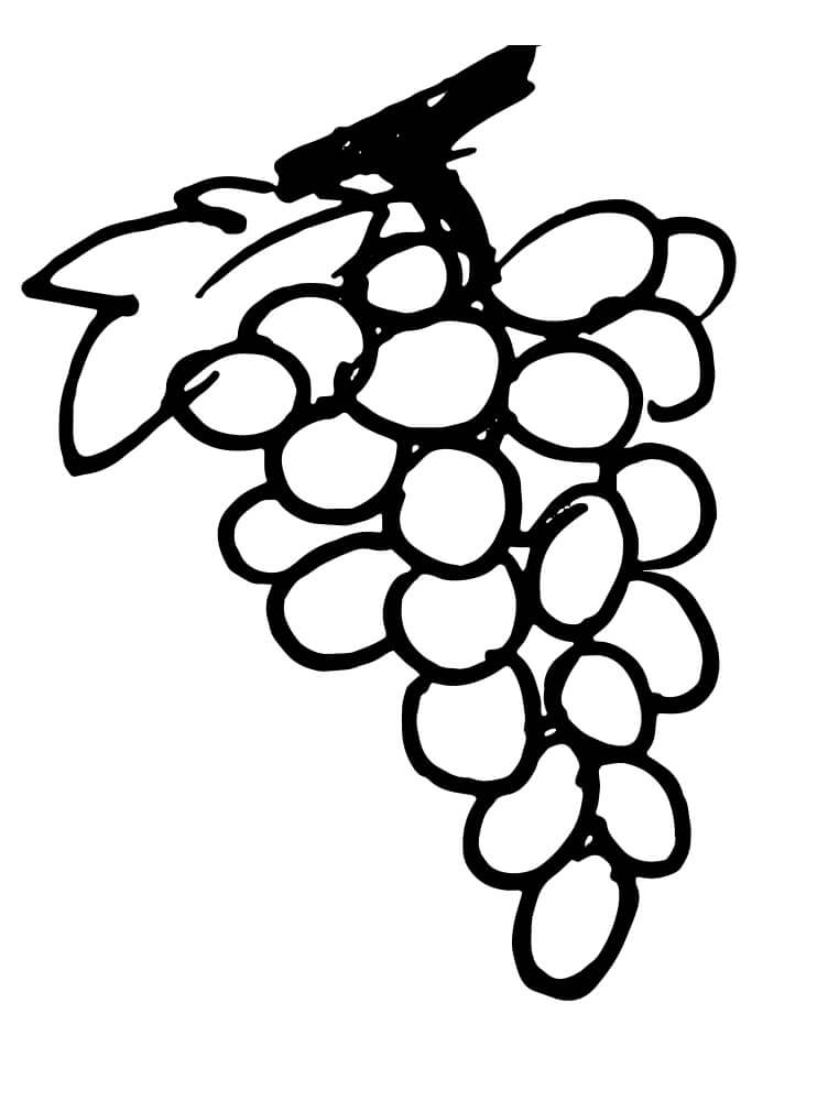 Desenho deCacho de Uvas 2 para colorir