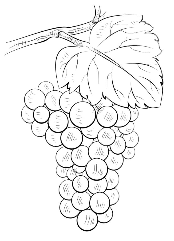 Desenho deCacho de Uvas 8 para colorir