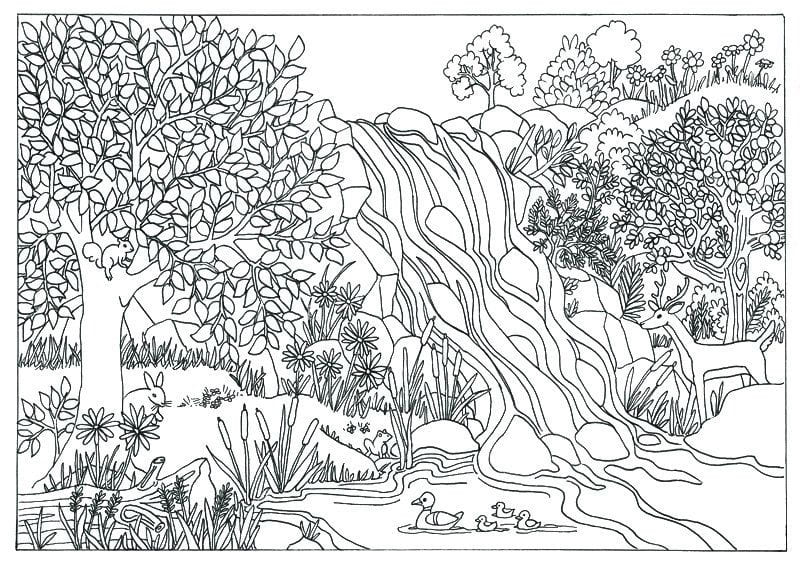 Desenho deCachoeira Maravilhosa para colorir