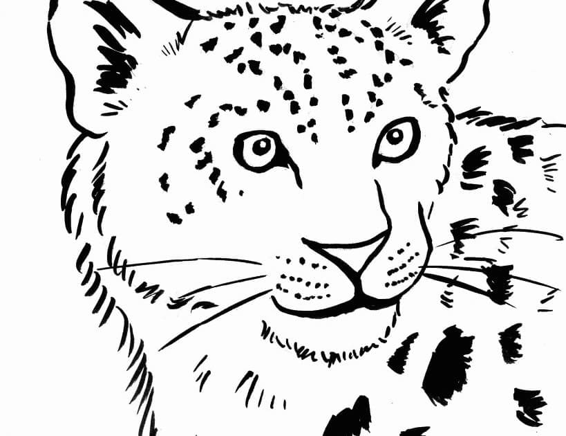 Desenho deCara de Leopardo para colorir