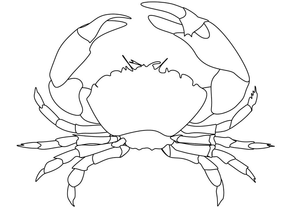 Desenho de Caranguejo Gorducho para colorir