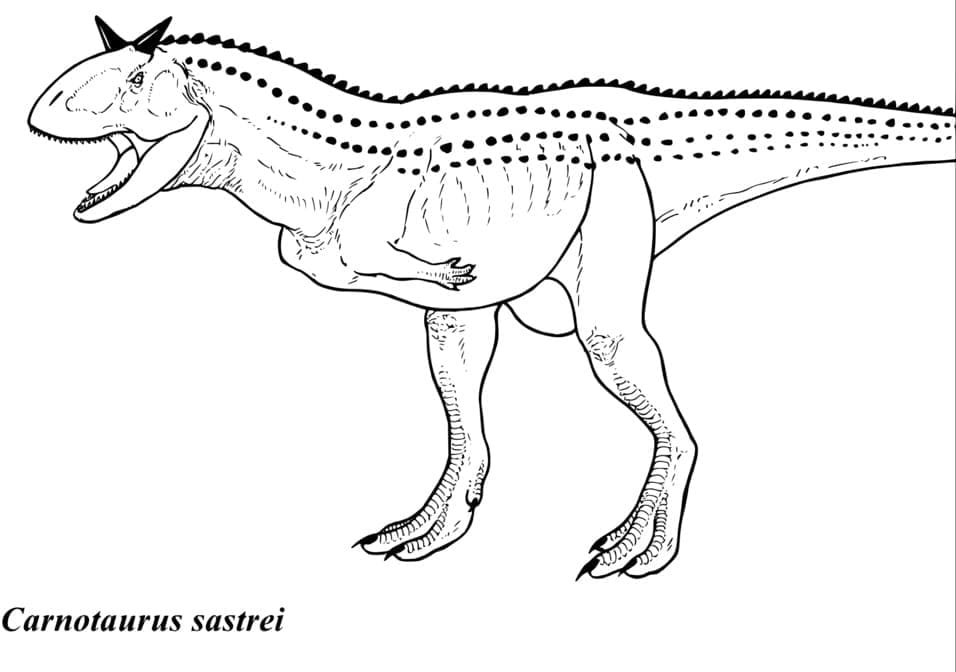 Desenho deCarnotauro 3 para colorir