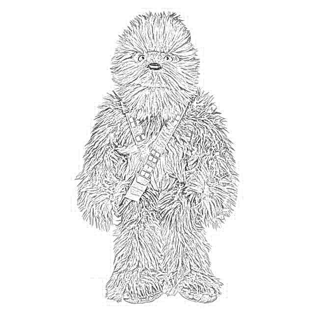 Desenho deChewbacca 5 para colorir