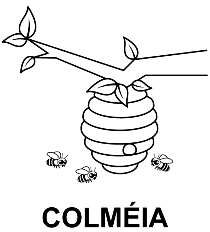 Desenhos de Colméia para colorir