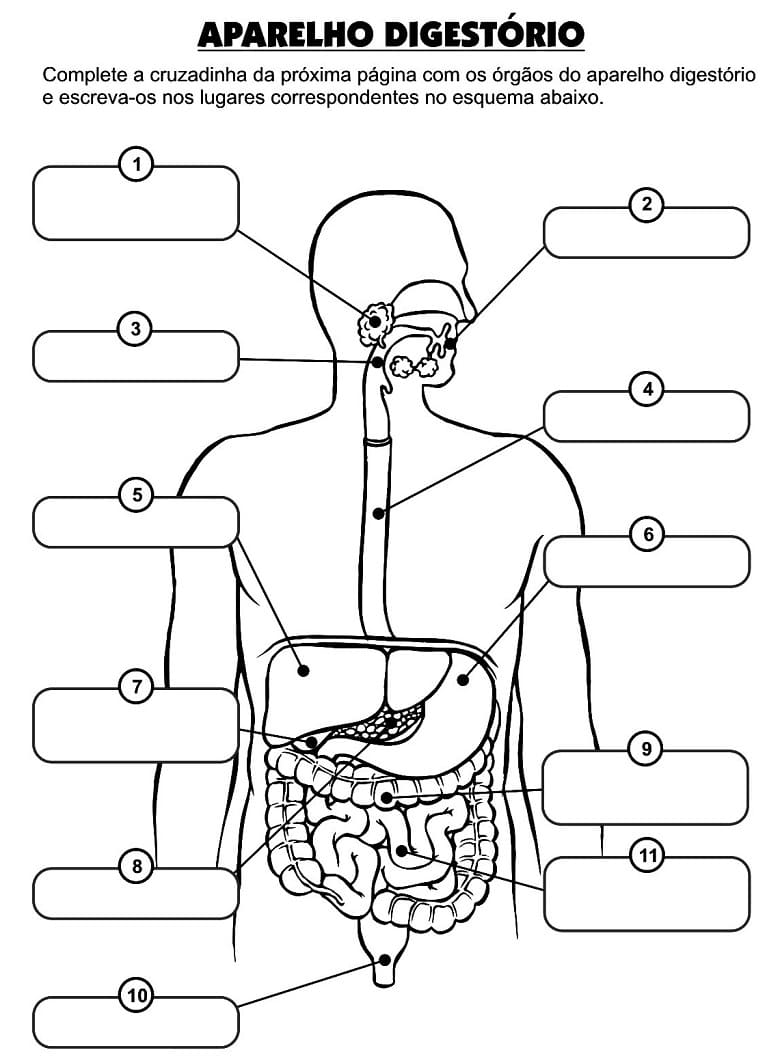 Desenho de Corpo Humano 2 para colorir