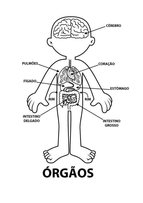 Desenho deCorpo Humano 4 para colorir