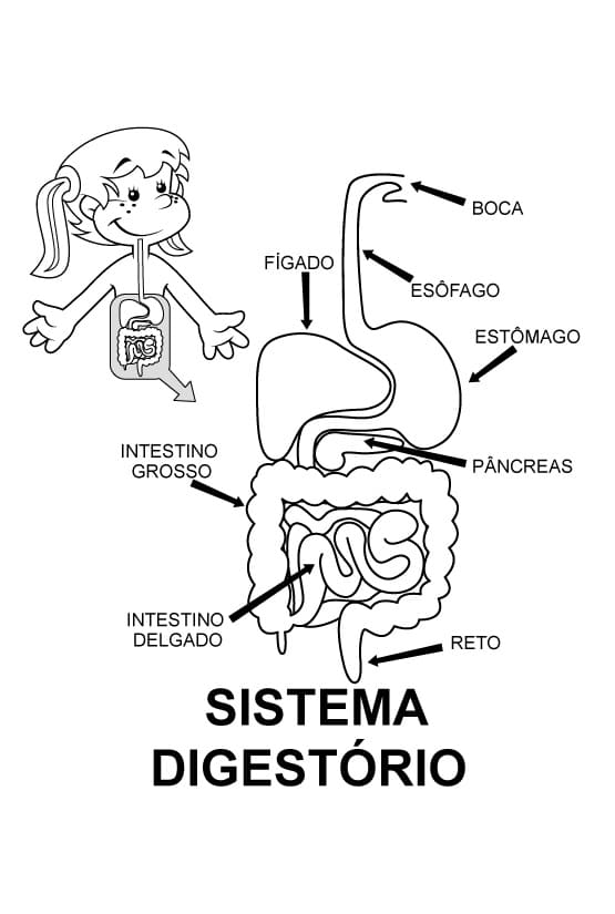 Desenho deCorpo Humano 6 para colorir