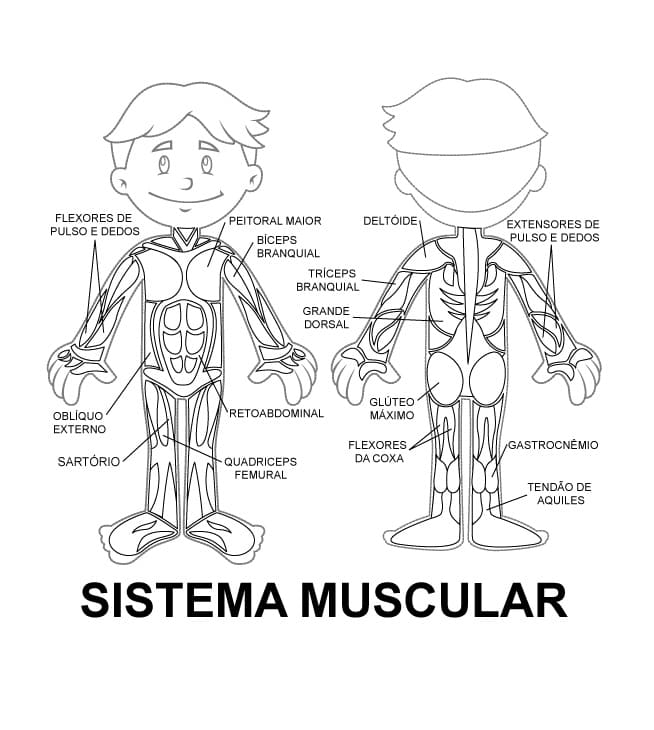 Desenho deCorpo Humano 8 para colorir