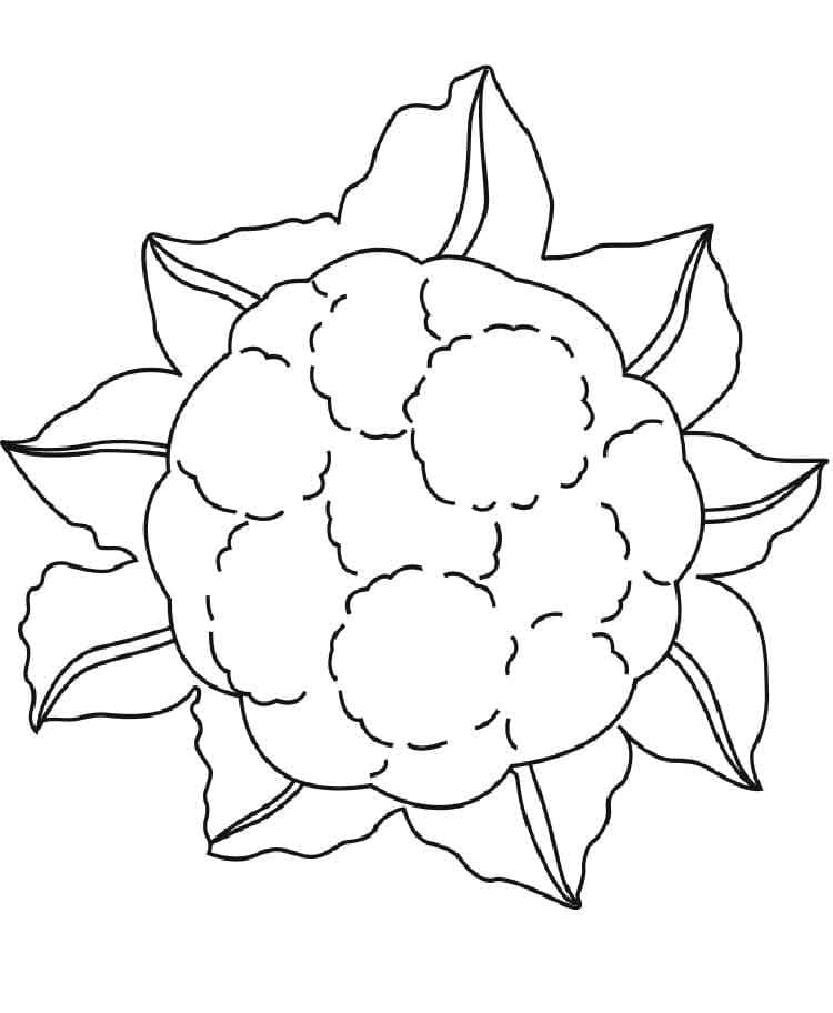 Desenho deCouve-flor 3 para colorir