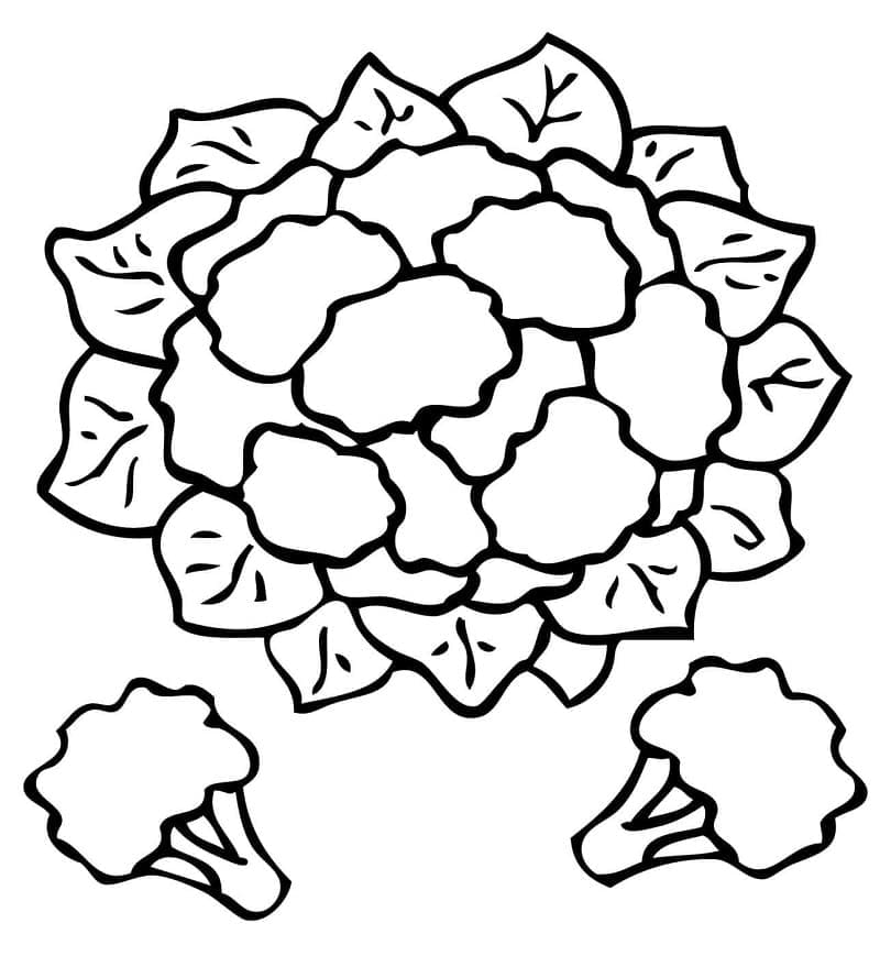 Desenho deCouve-flor 7 para colorir