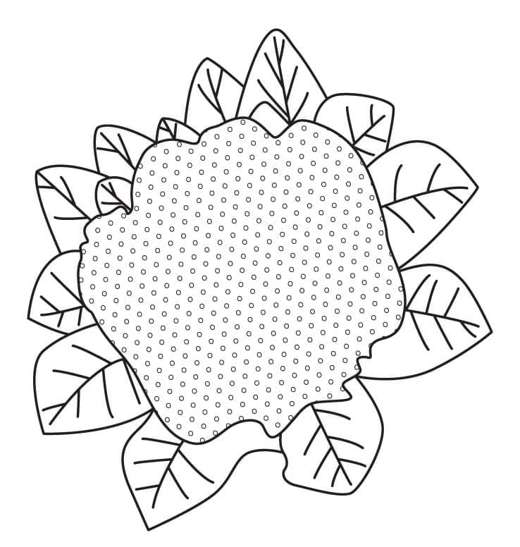 Desenho deCouve-flor Fácil para colorir