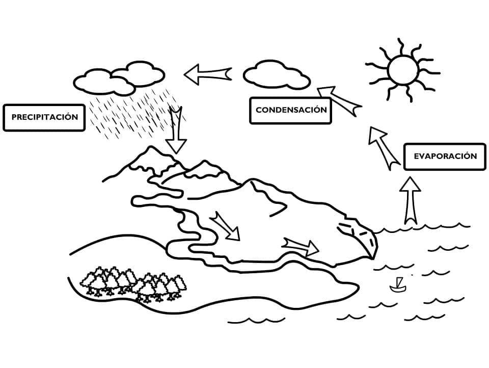 Desenho deCiclo da Água 7 para colorir