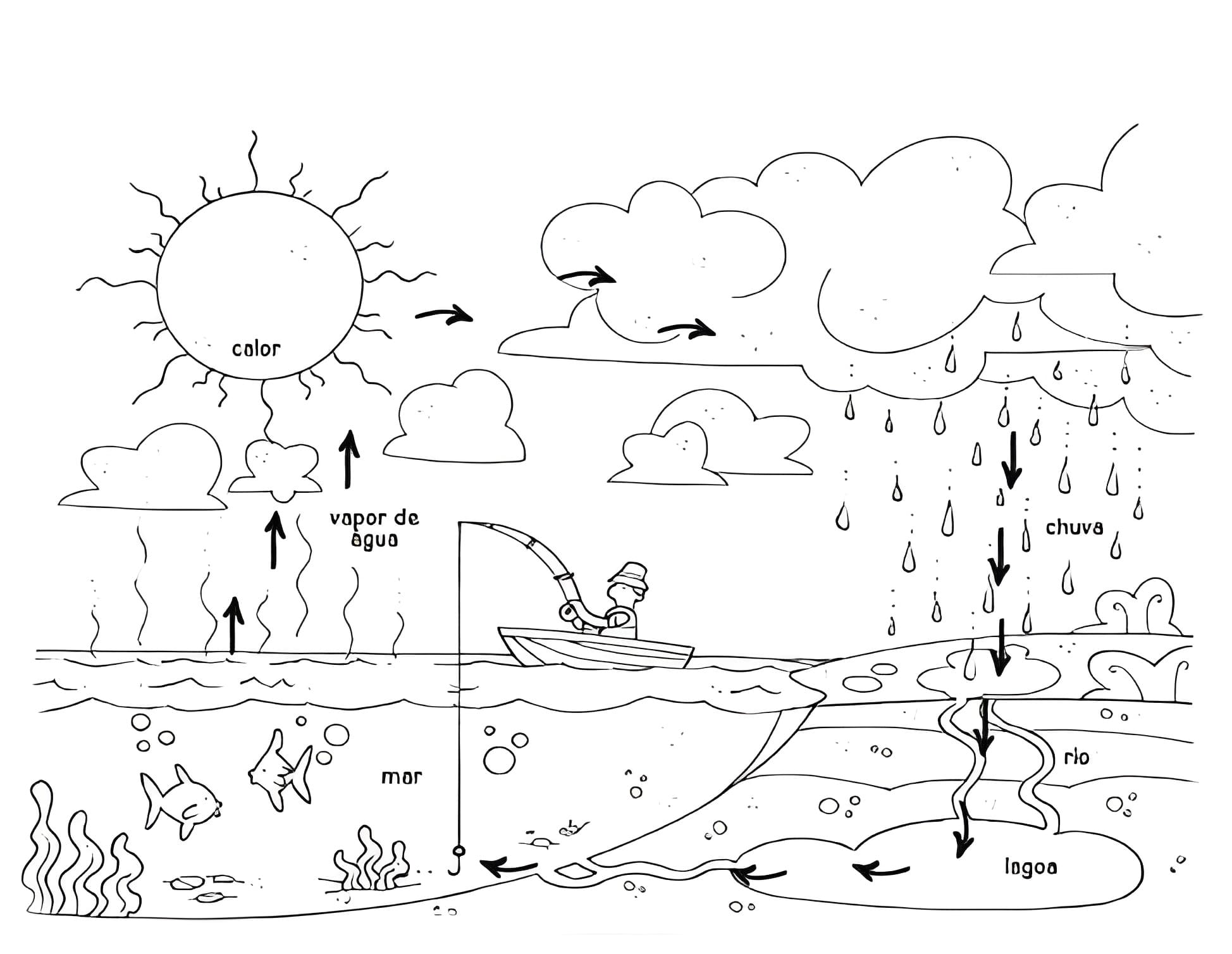 Desenho deCiclo da Água Grátis Para Crianças para colorir