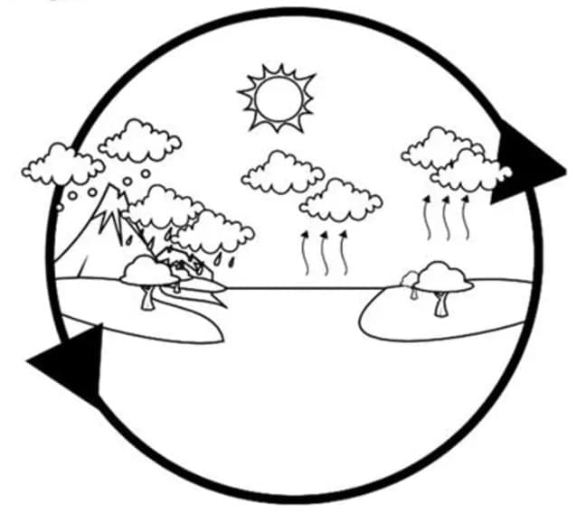 Desenho deEtapas do Ciclo da Água para colorir