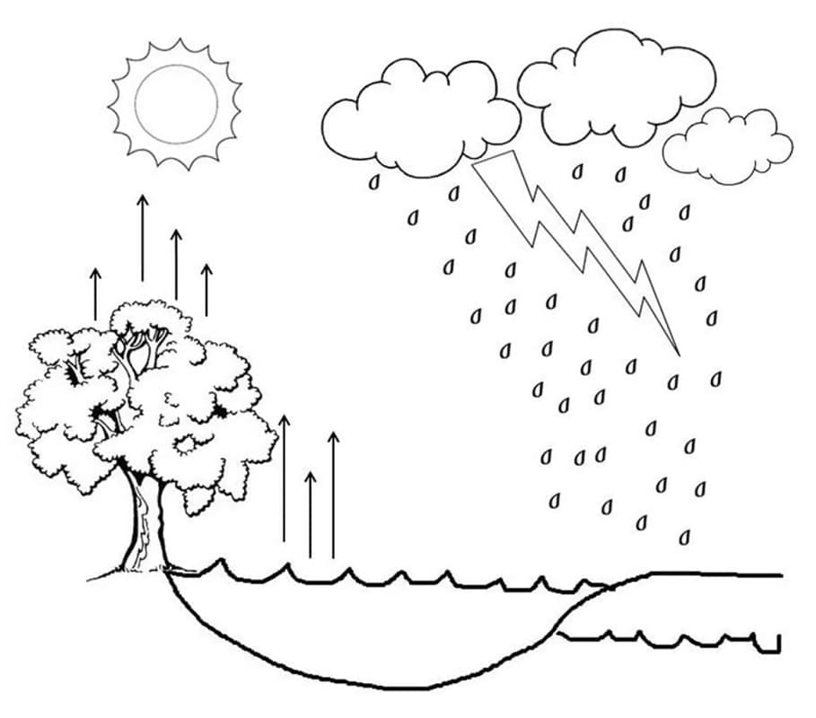 Desenho deO Ciclo Hidrológico para colorir