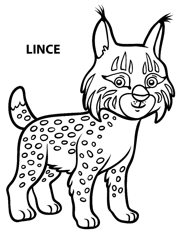 Desenhos de Lince para colorir