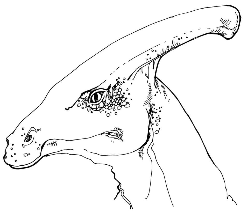 Desenho deCabeça de Parassaurolofo para colorir