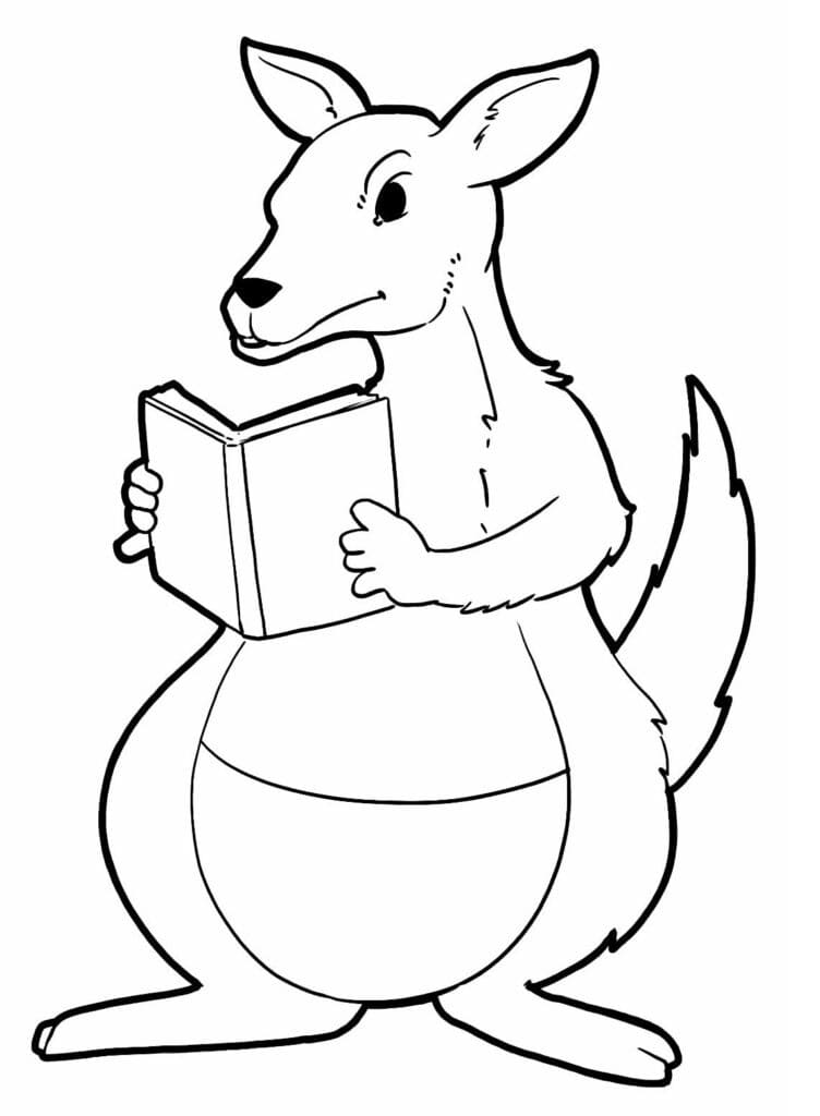 Desenho deCanguru com um Livro para colorir