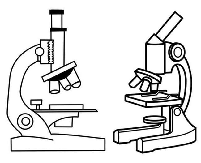 Desenho deDois Microscópios para colorir