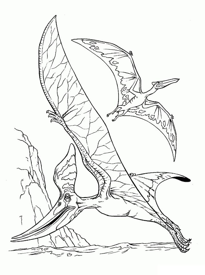 Desenho deDois Pterodáctilos para colorir