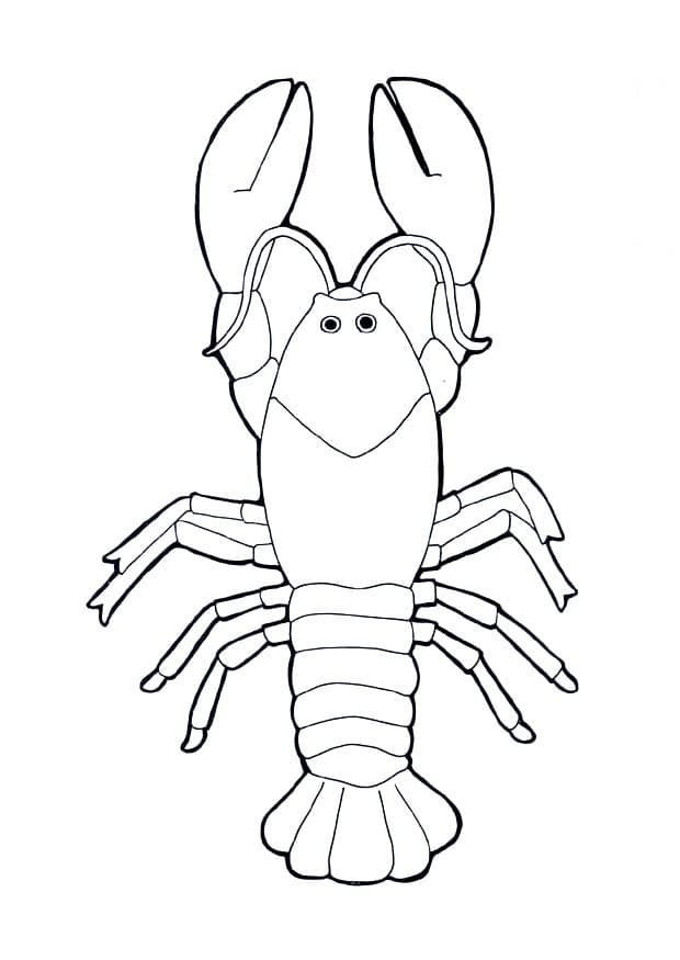 Desenho deLagosta Simples para colorir