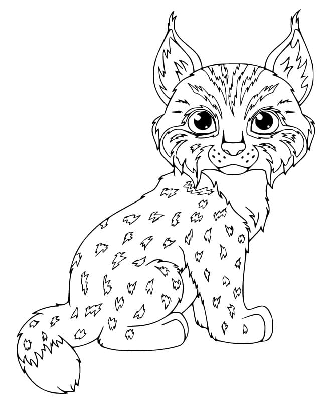 Desenho deLindo Lince para colorir