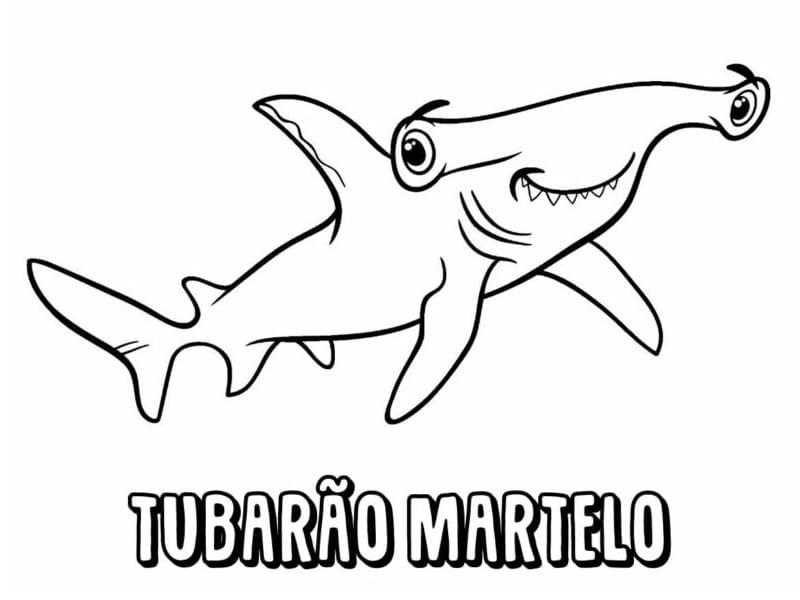 Desenhos de Tubarão Martelo para colorir