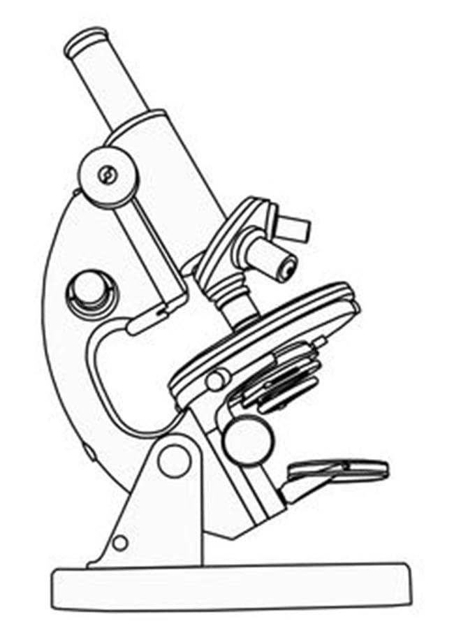 Desenho deMicroscópio 7 para colorir