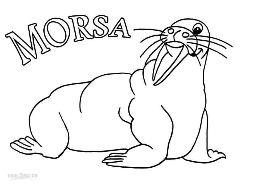 Desenho de Morsa Engraçada para colorir