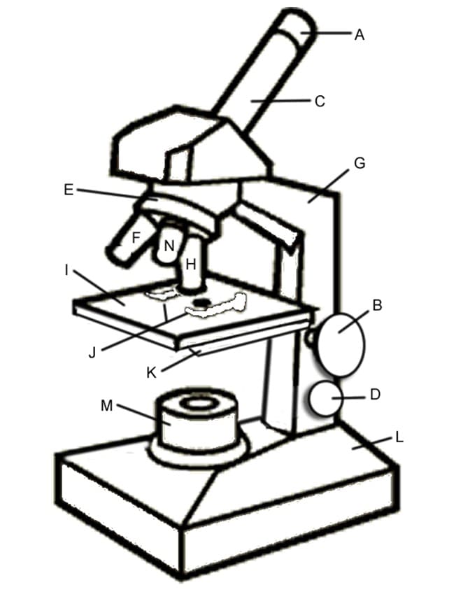 Desenho dePartes do Microscópio para colorir