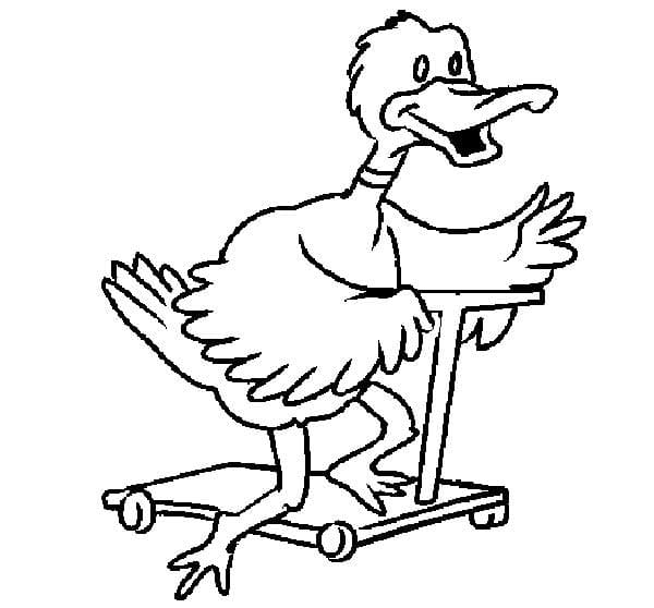 Desenho dePato no Patinete para colorir