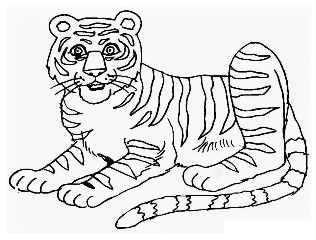 Desenho deTigre 1 para colorir