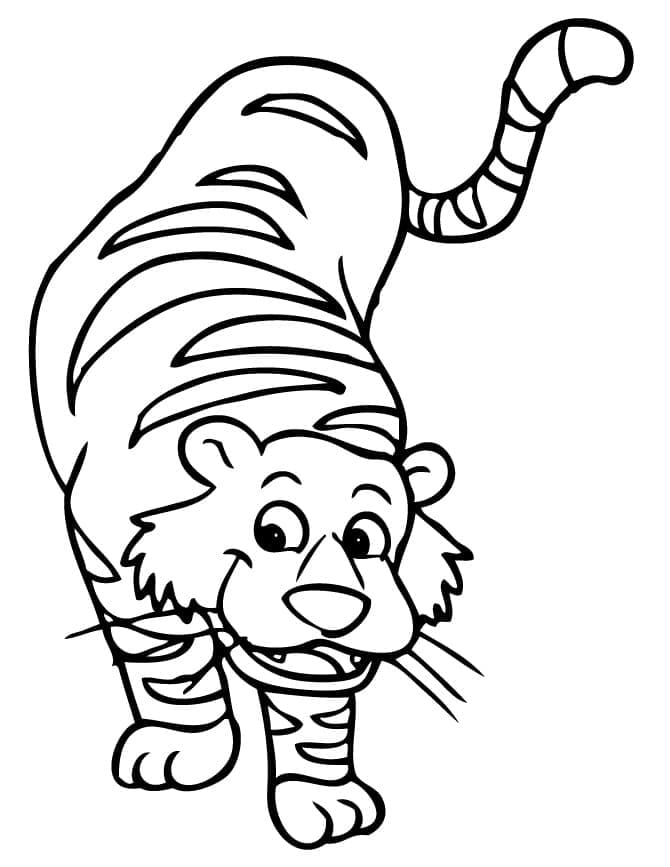 Desenho deTigre 3 para colorir