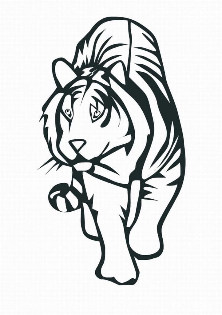 Desenho de Tigre Andando para colorir