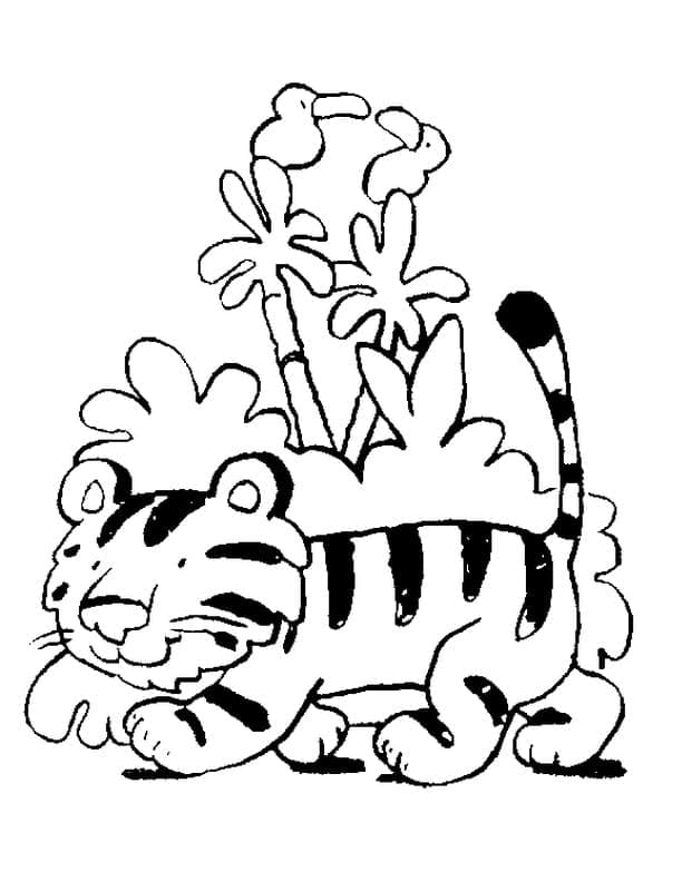 Desenho deTigre Pequeno para colorir