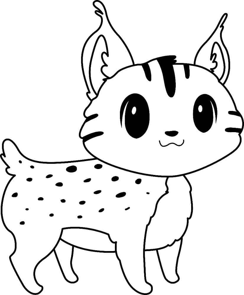 Desenho deUm Bebê Lince para colorir