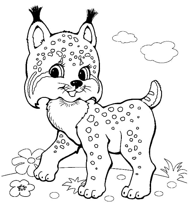 Desenho deUm Pequeno Lince para colorir