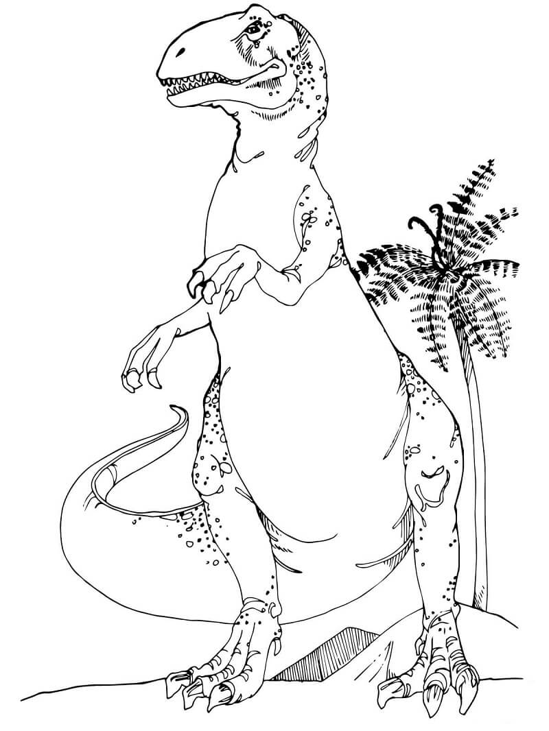 Desenho deDinossauro Alossauro para colorir