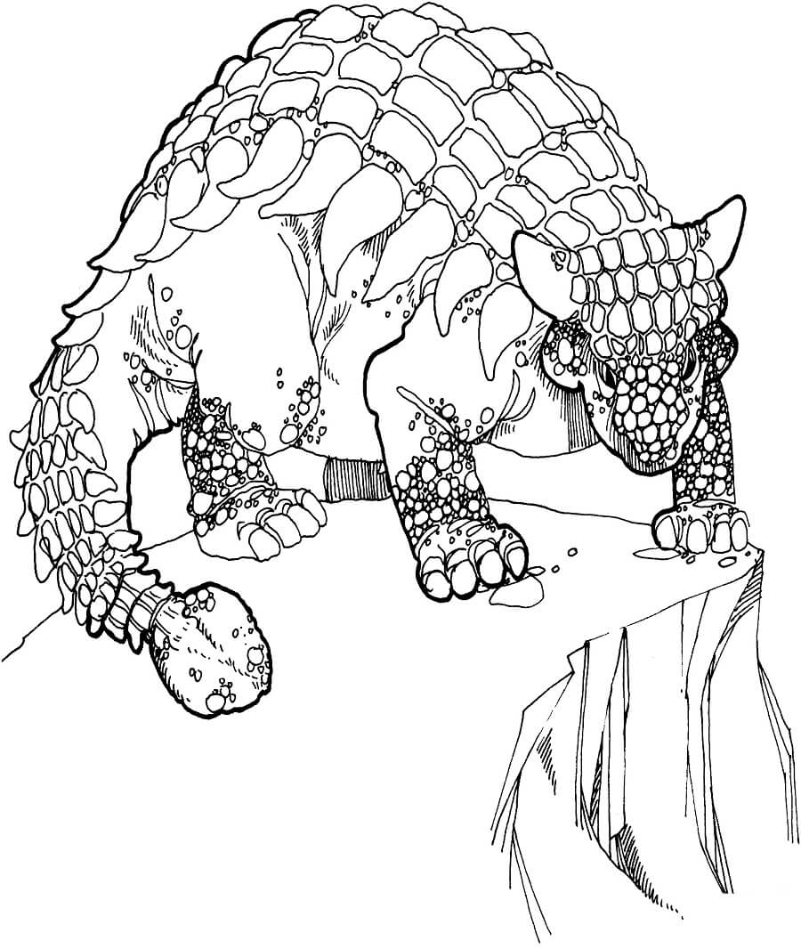 Desenho deDinossauro Anquilossauro para colorir