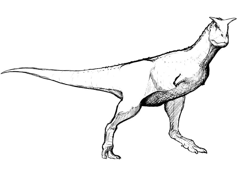 Desenho deDinossauro Carnotauro 5 para colorir