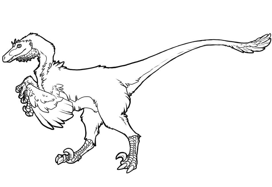 Desenho deDinossauro Velociraptor 5 para colorir