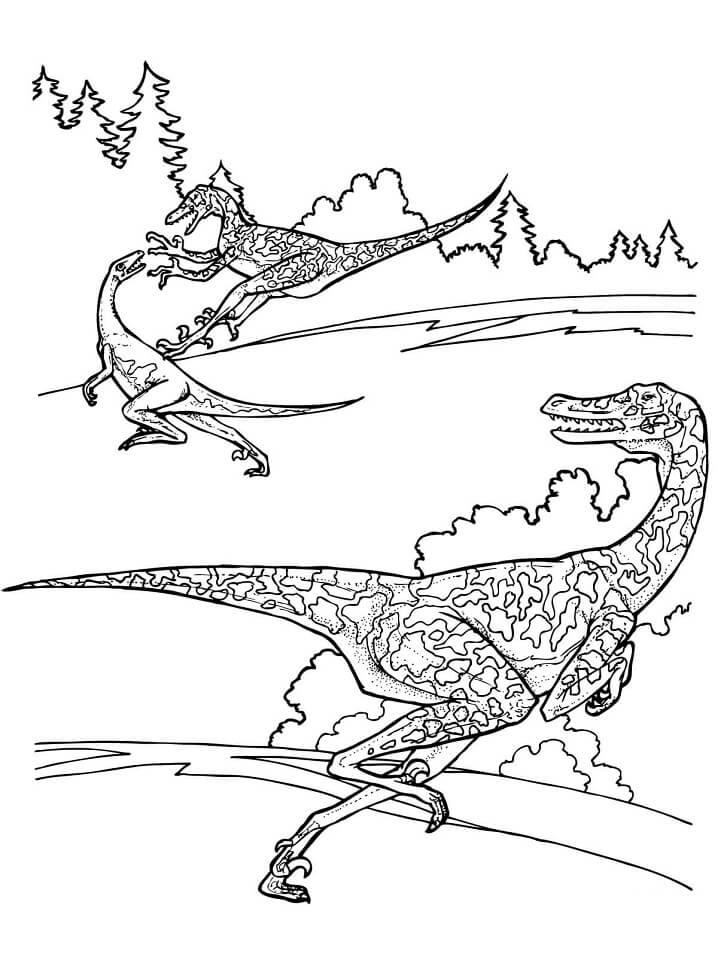 Desenho deDinossauro Velociraptor 6 para colorir