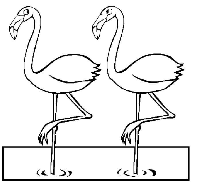 Desenho de Dois Flamingos 1 para colorir