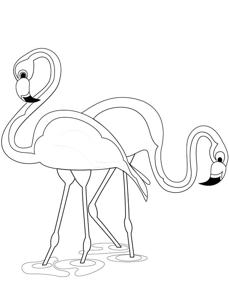 Desenho de Dois Flamingos 2 para colorir